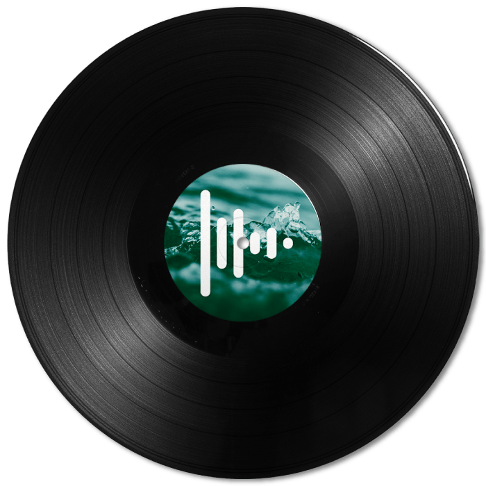 Discos de vinilo a medida Press Play Vinyl