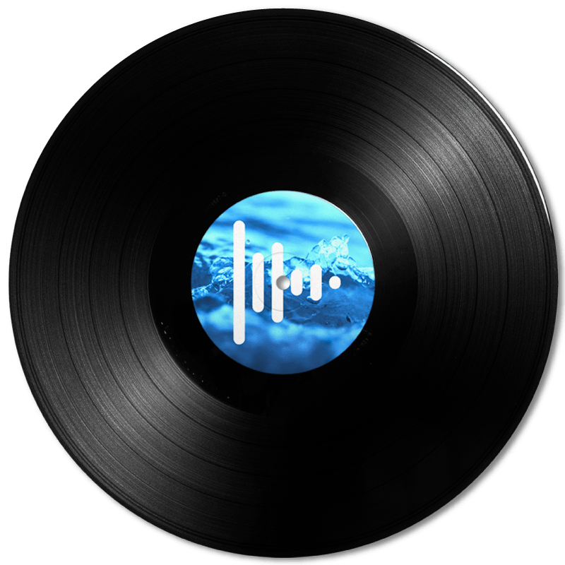 Discos de vinilo 12 pulgadas Press Play Vinyl