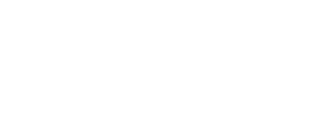 Logo Press Play Vinyl hor wh