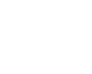 Logo Press Play Vinyl vertical wh