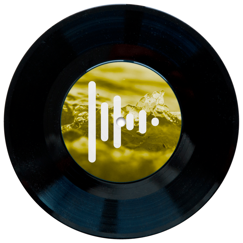 Discos de vinilo 7 pulgadas Press Play Vinyl