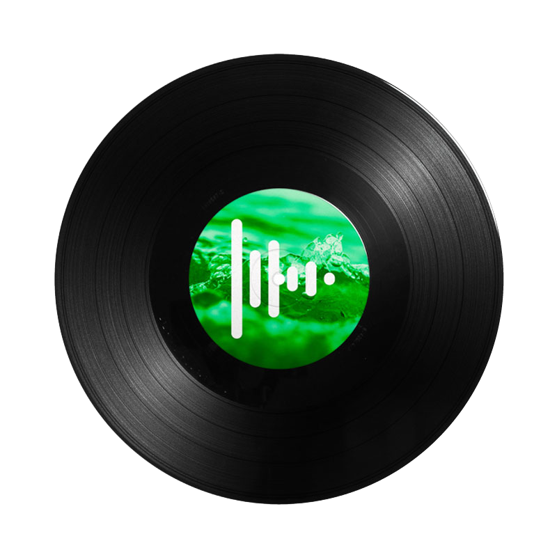 Disco de vinilo 10 Press Play Vinyl float 1